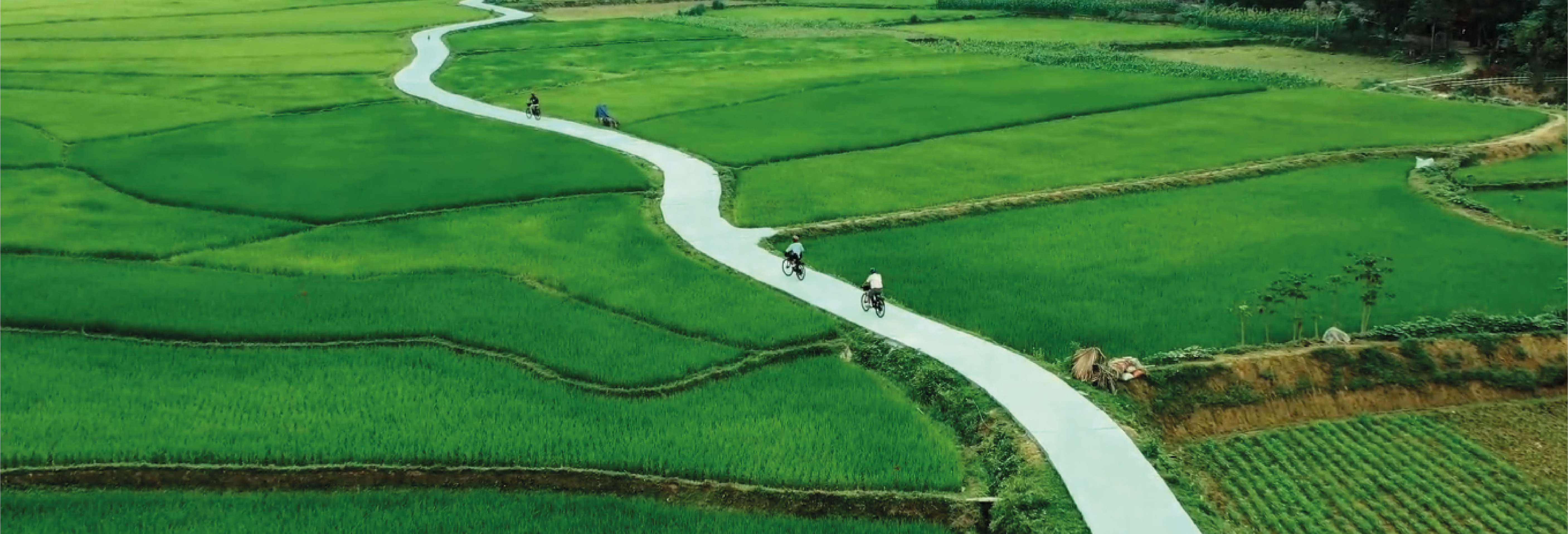 post category banner